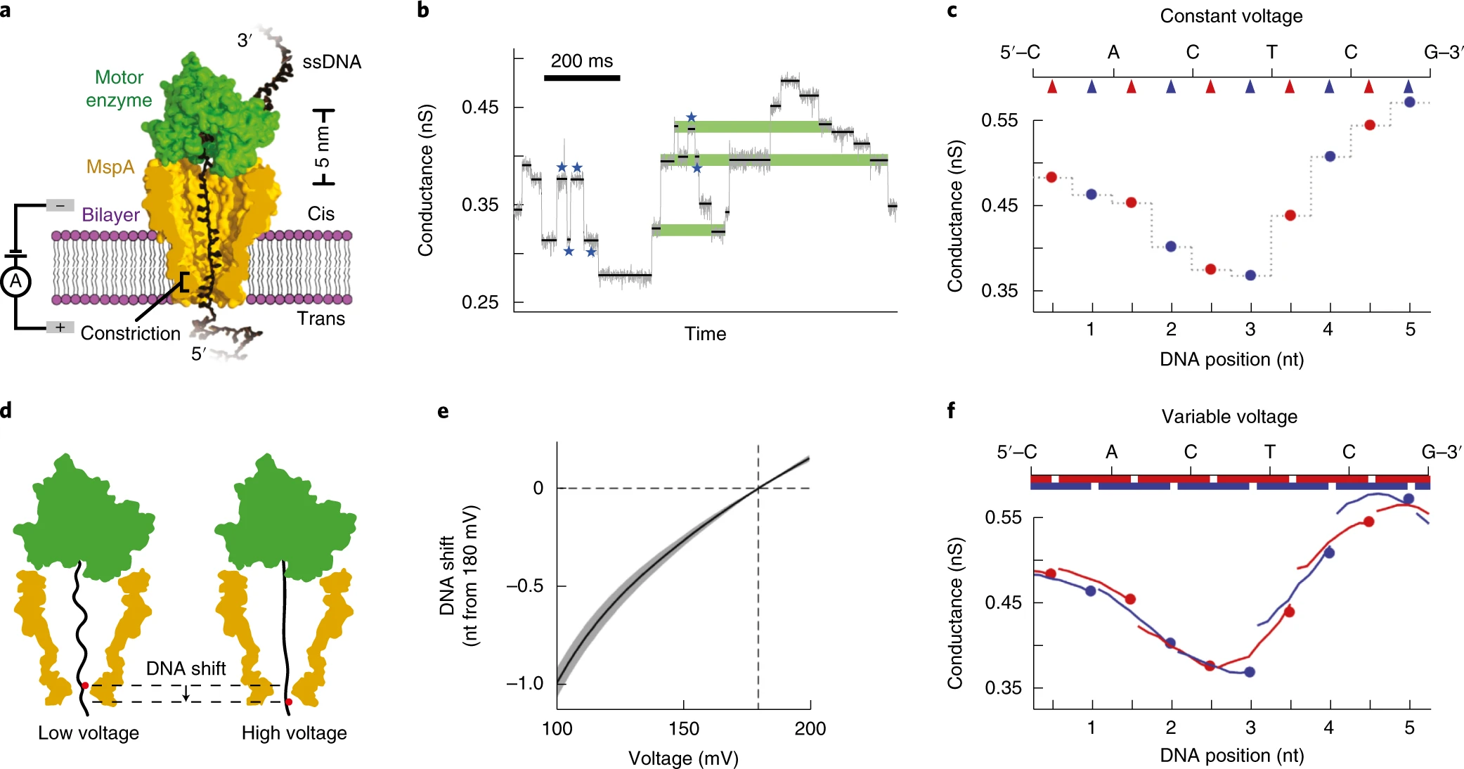 Increasing the accuracy of nanopore DNA sequencing using a time-varying cross membrane