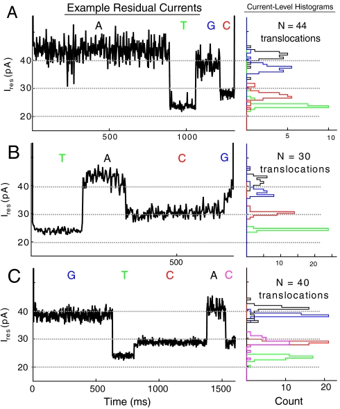 Nanopore DNA Sequencing with MspA